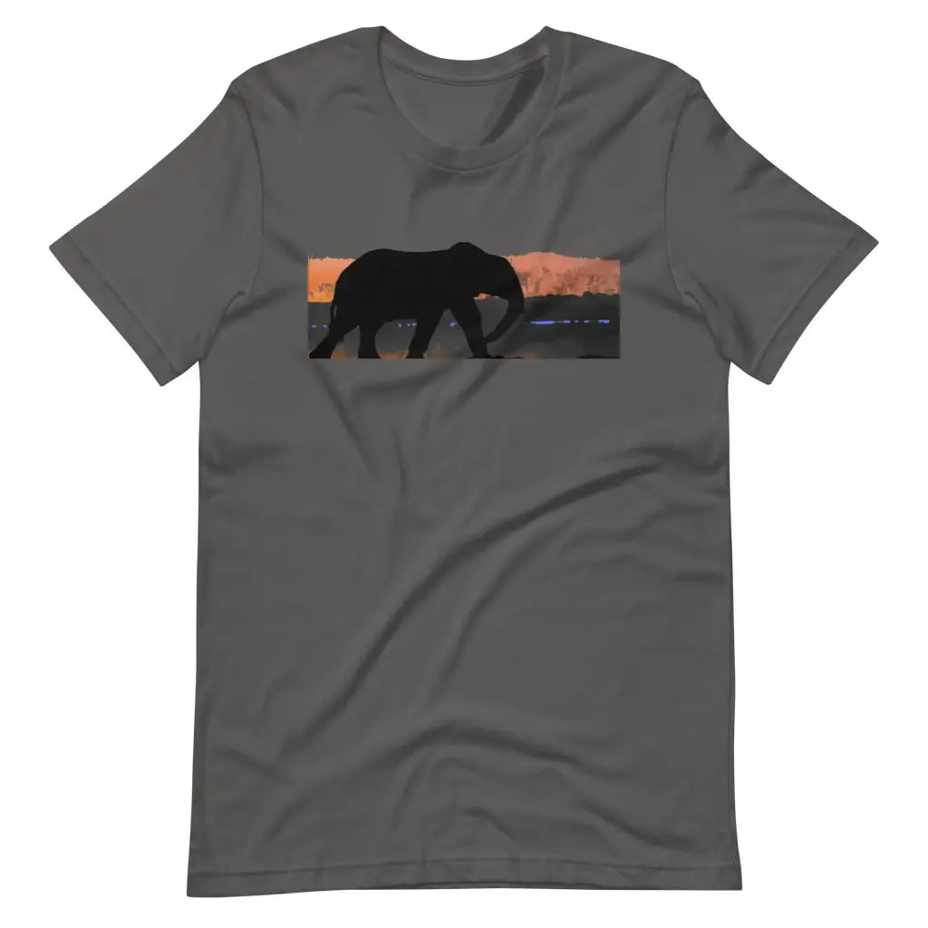 An Elephant’s Journey t-shirt - Asphalt / S - T-Shirt