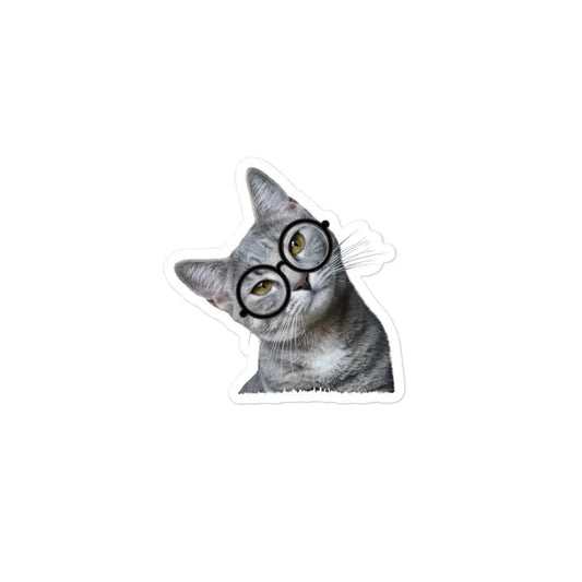 Cute Cat in Eye Glasses Bubble-free stickers - 3x3