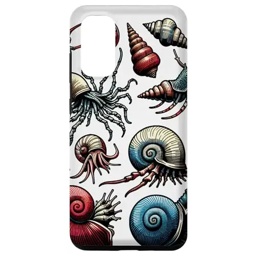 Marine Ocean Wonders:: Shells Squid and More Sea Creatures