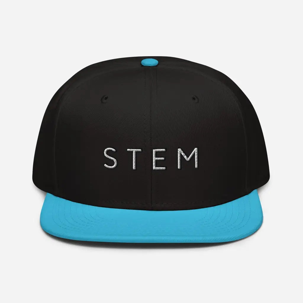 Stem Snapback Hat - Aqua blue / Black