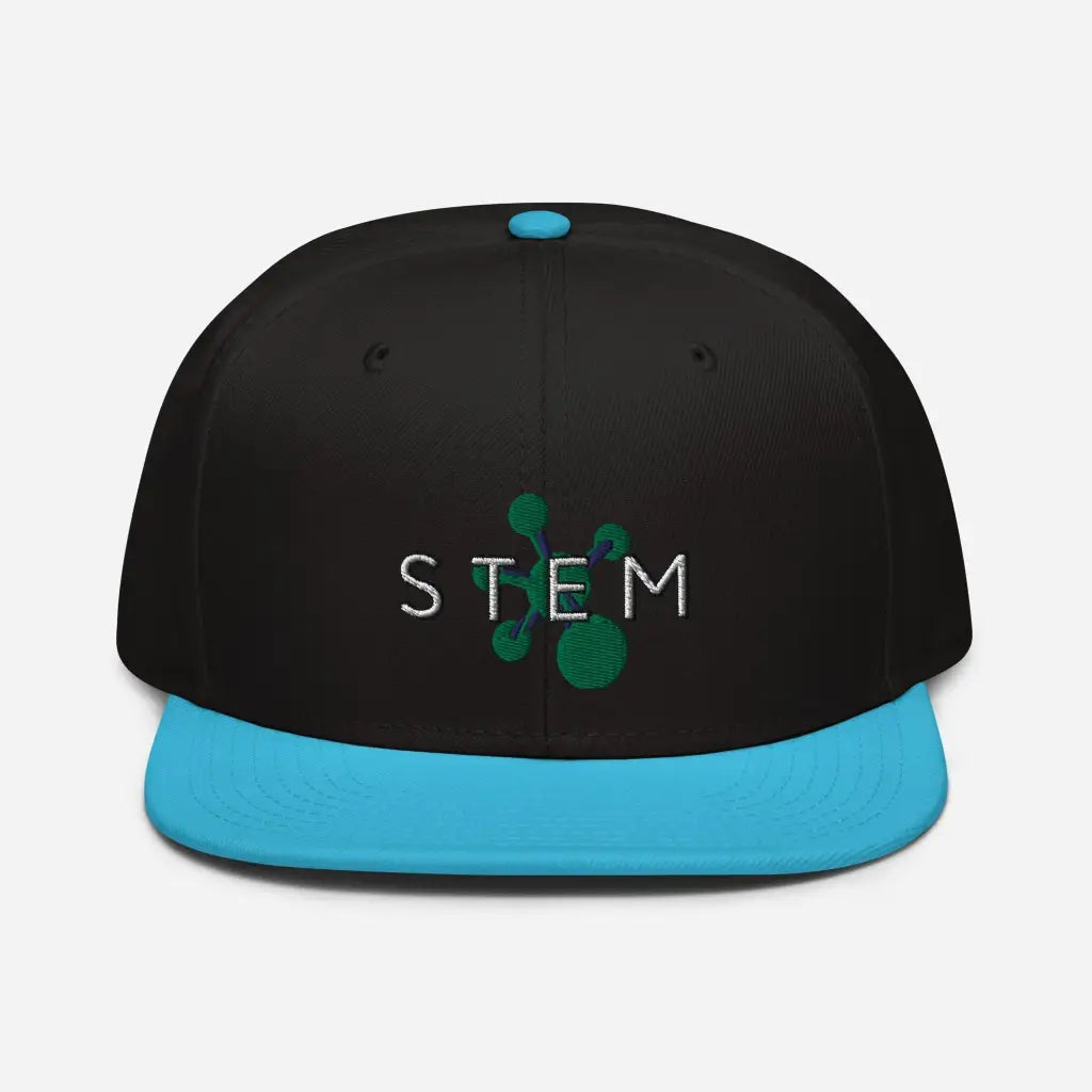 Stem Snapback Hat - Aqua blue / Black