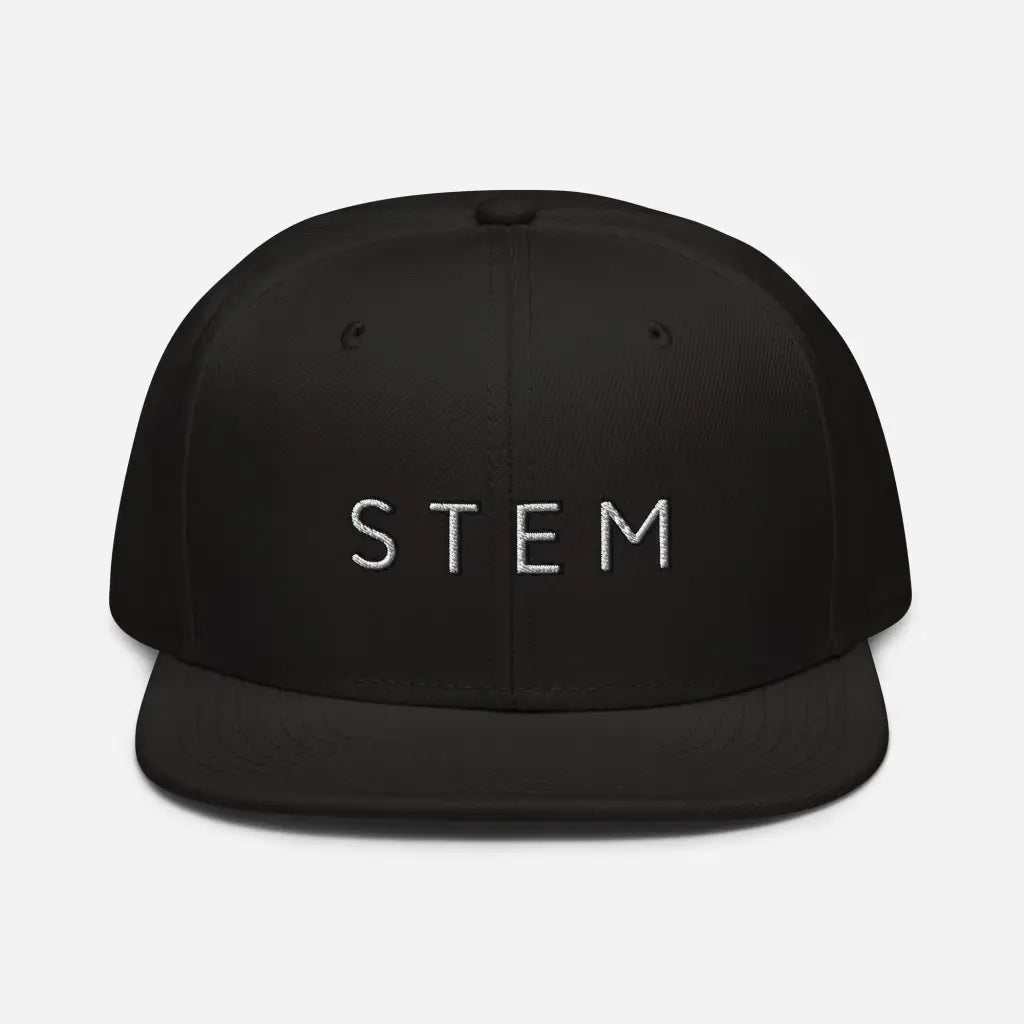 Stem Snapback Hat - Black