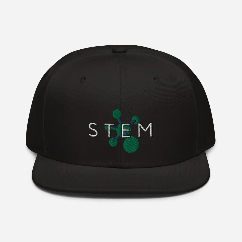 Stem Snapback Hat - Black