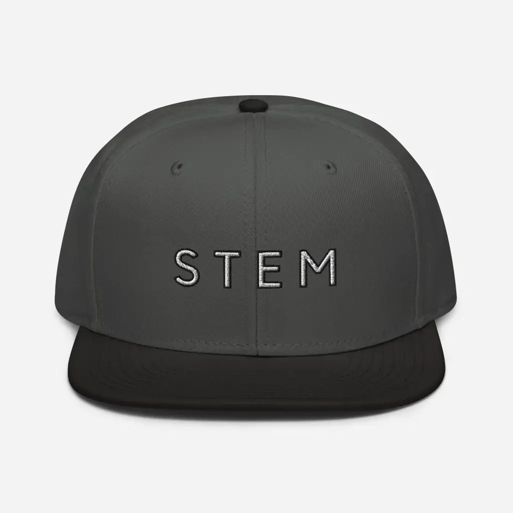 Stem Snapback Hat - Black / Charcoal gra