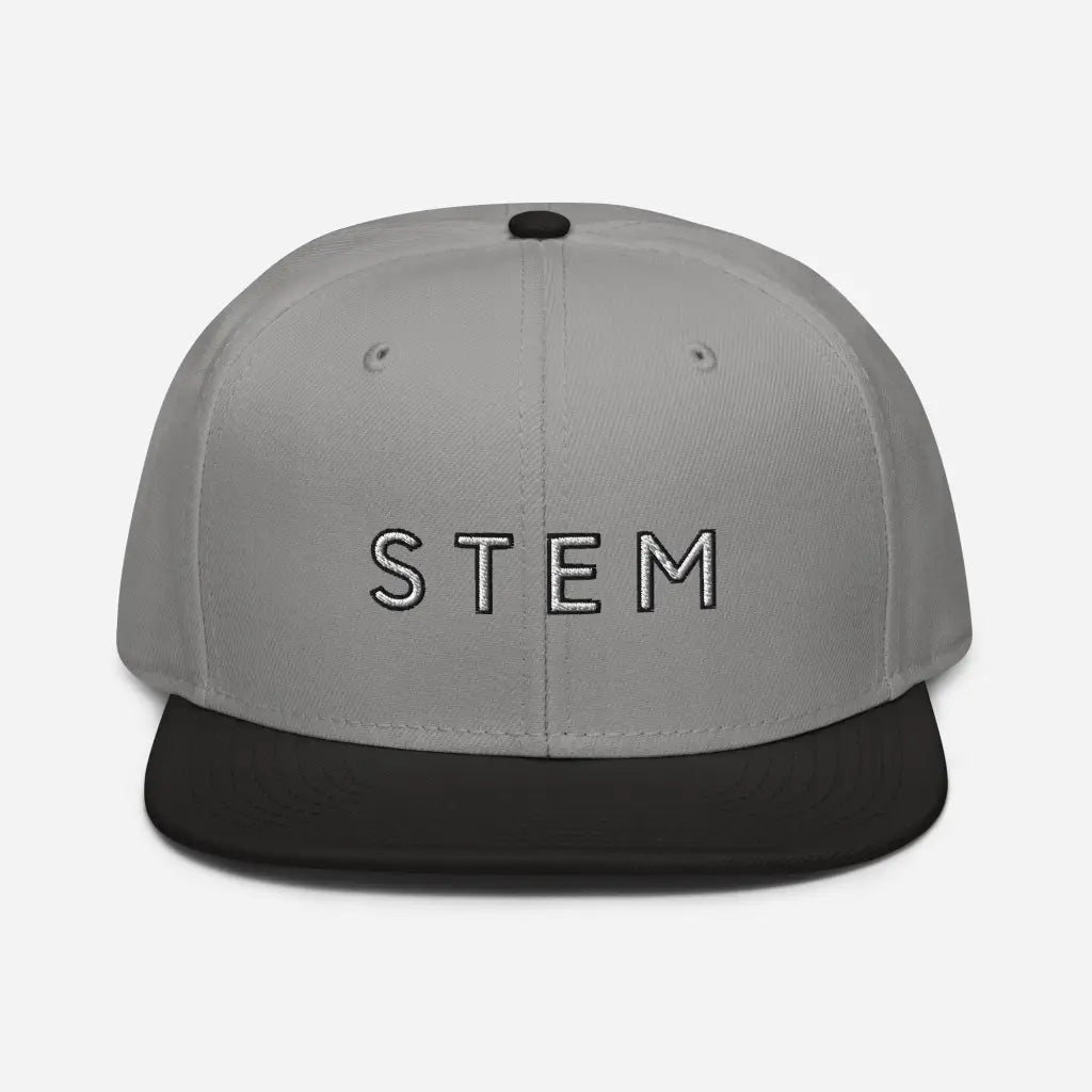 Stem Snapback Hat - Black / Gray