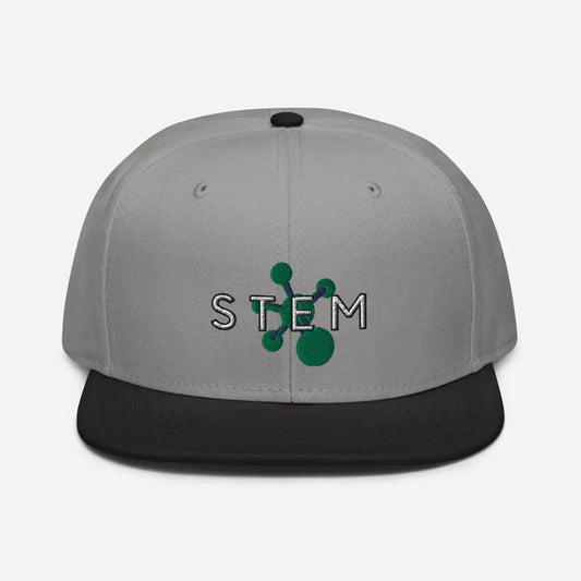 Stem Snapback Hat - Black / Gray