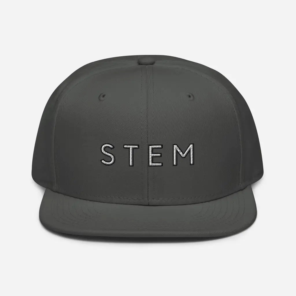 Stem Snapback Hat - Charcoal gray