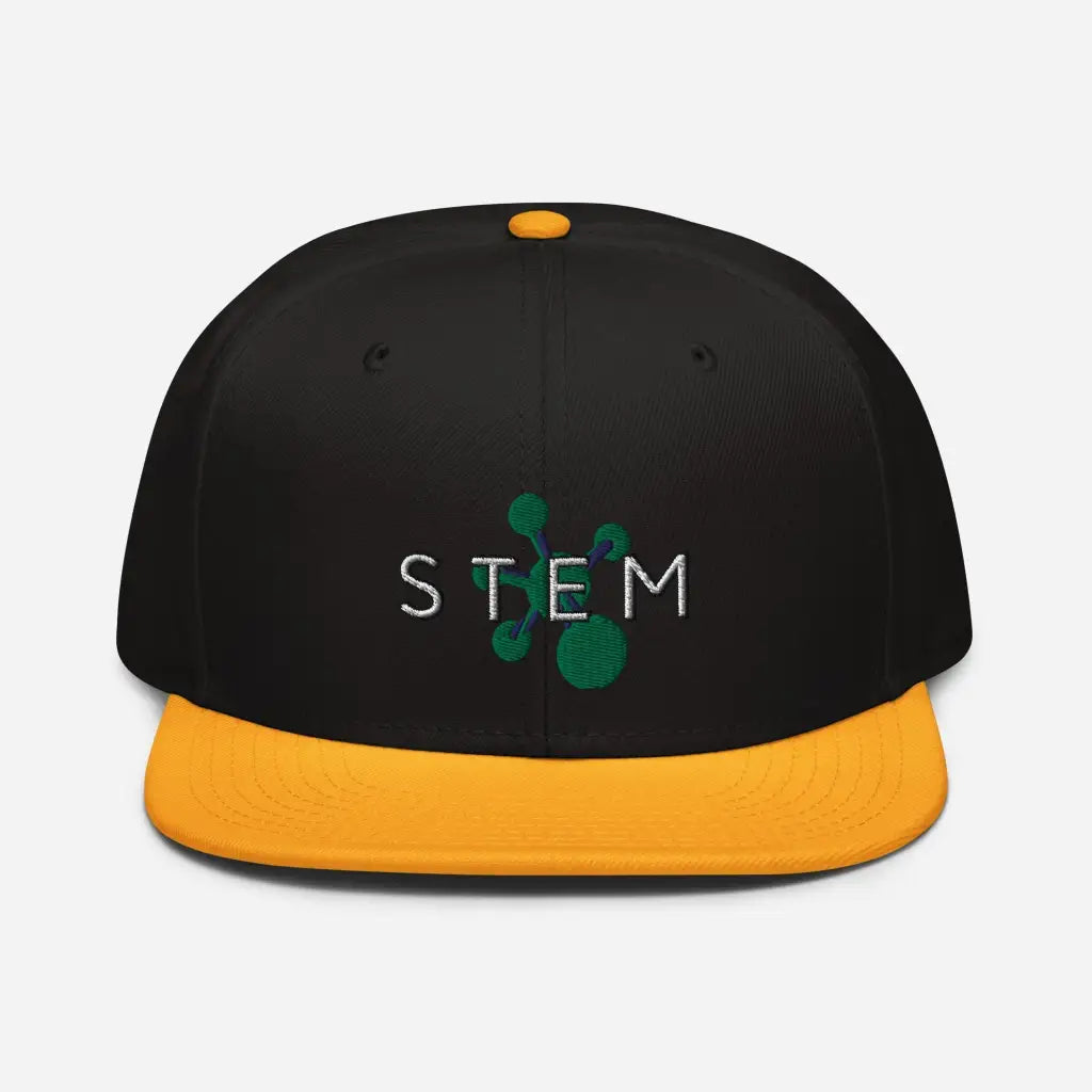 Stem Snapback Hat - Gold / Black