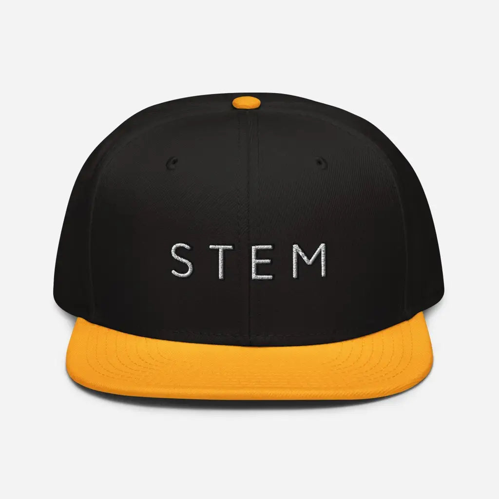 Stem Snapback Hat - Gold / Black