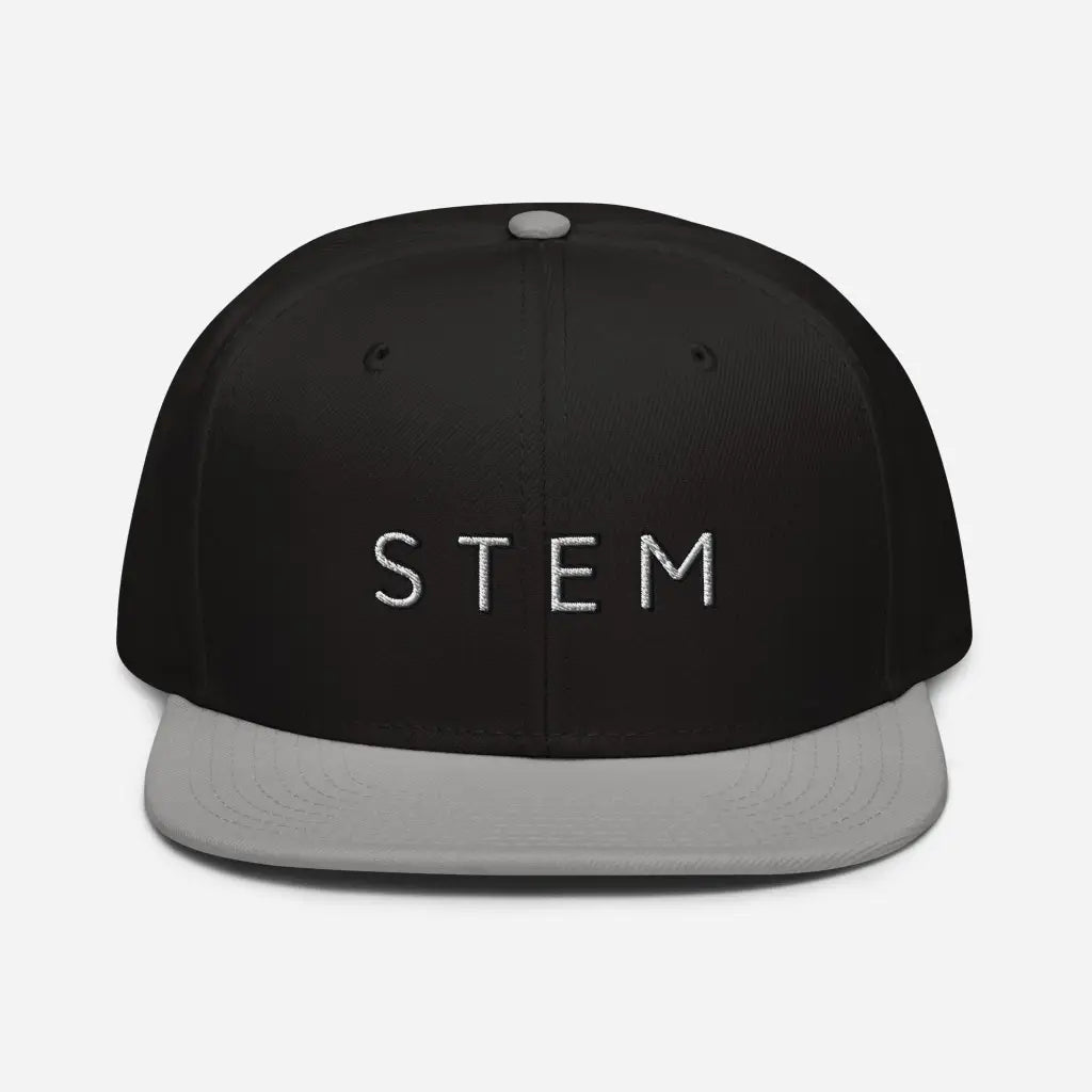 Stem Snapback Hat - Gray / Black