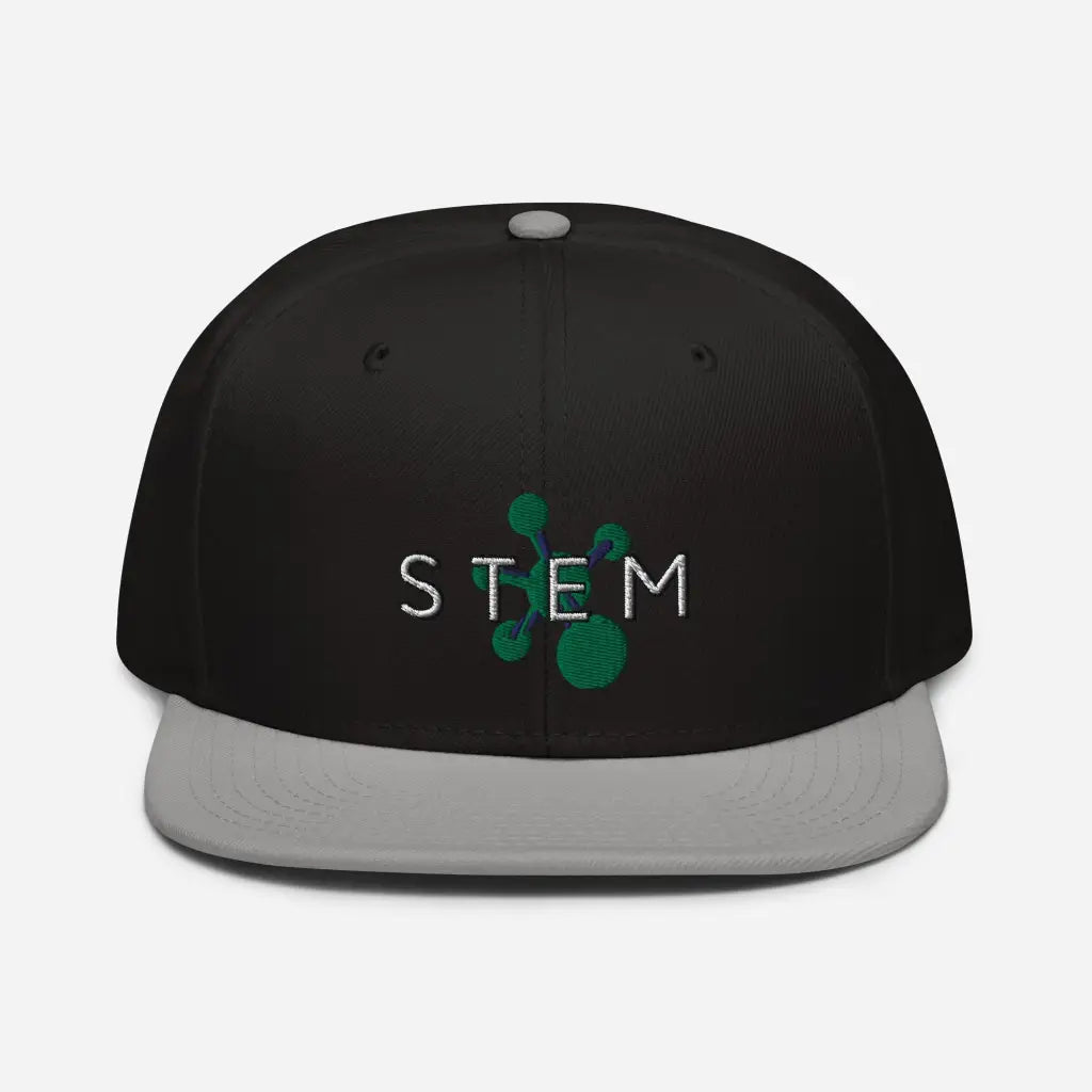 Stem Snapback Hat - Gray / Black