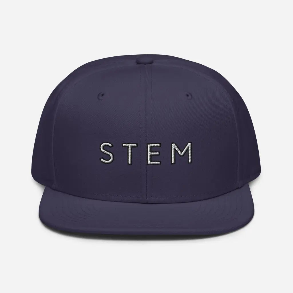 Stem Snapback Hat - Navy blue