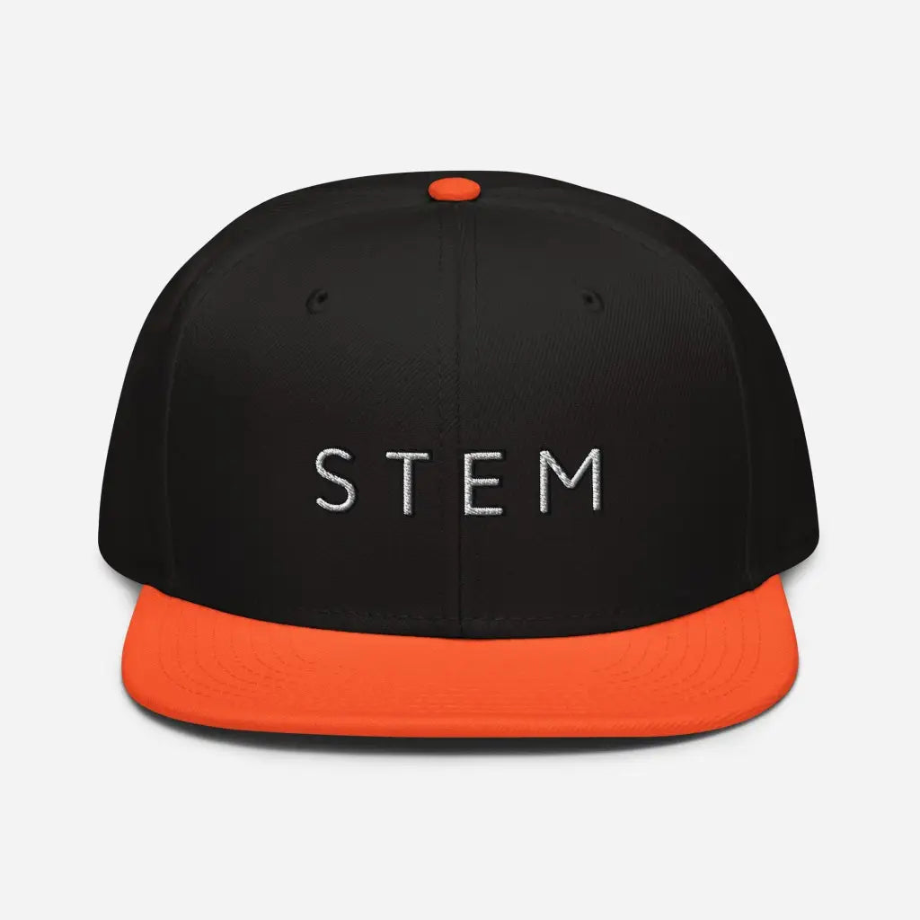 Stem Snapback Hat - Orange / Black / Bla