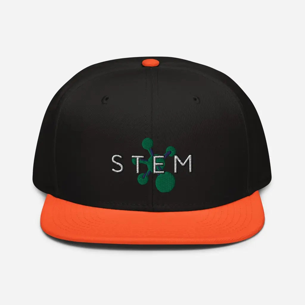 Stem Snapback Hat - Orange / Black / Bla