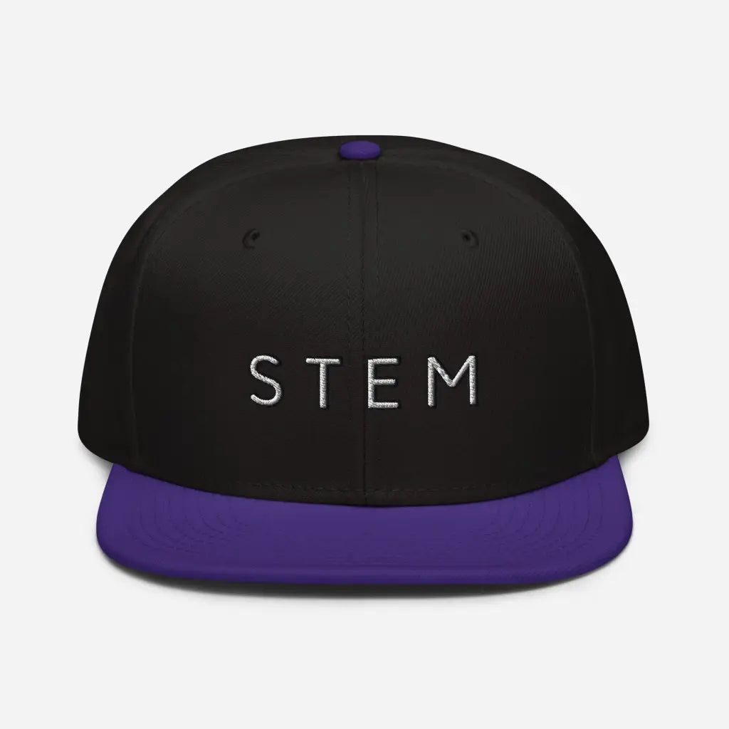 Stem Snapback Hat - Purple / Black / Bla