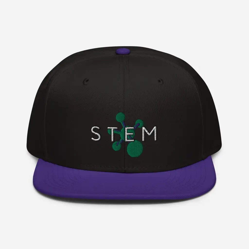 Stem Snapback Hat - Purple / Black / Bla